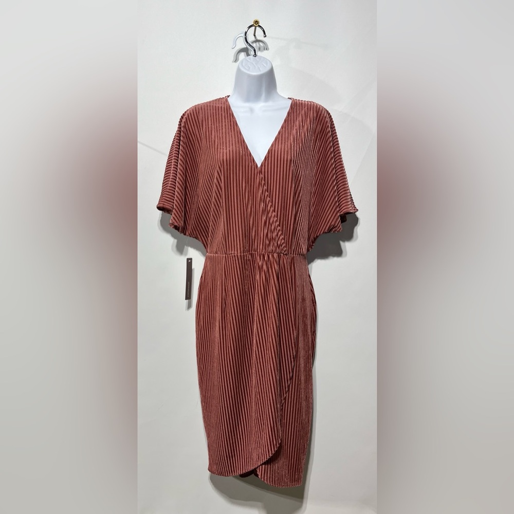 Anthropologie Sunday In Brooklyn Pink Rose Dress Size Medium New‎ With Tags